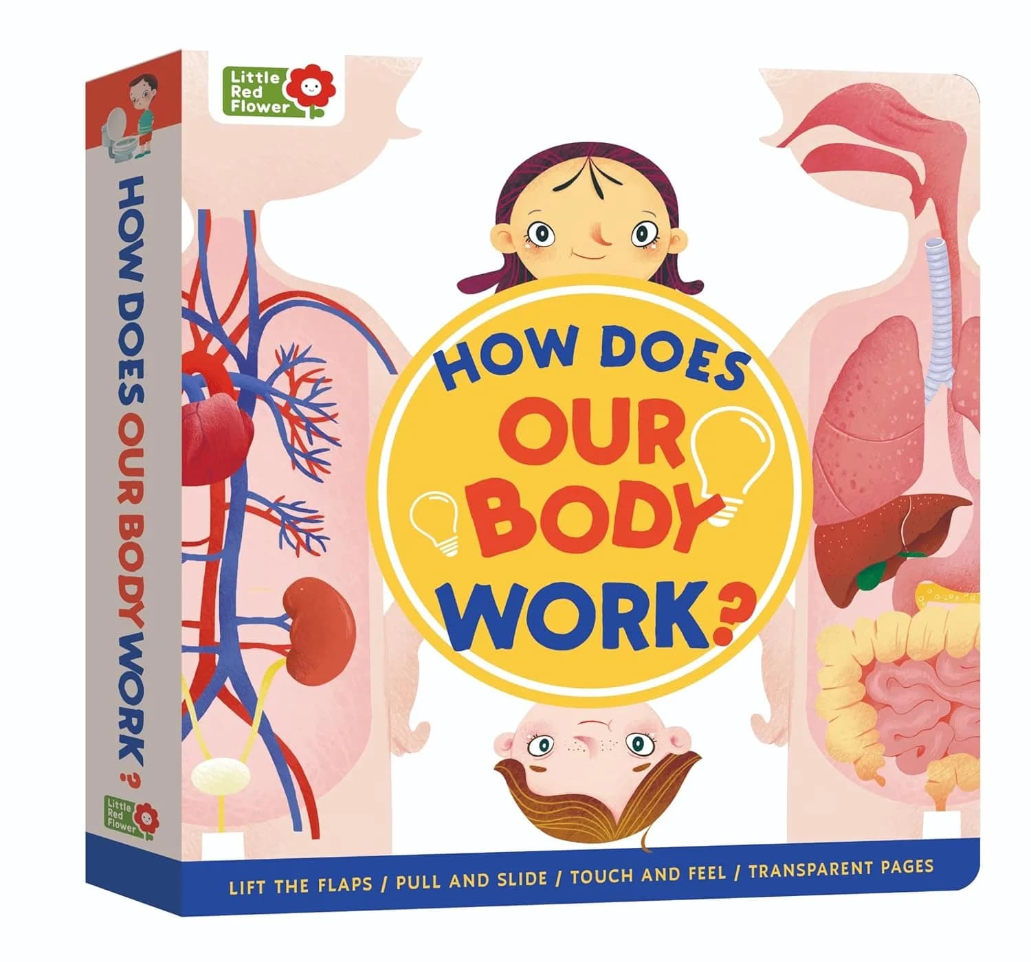 How Does Our Body Work