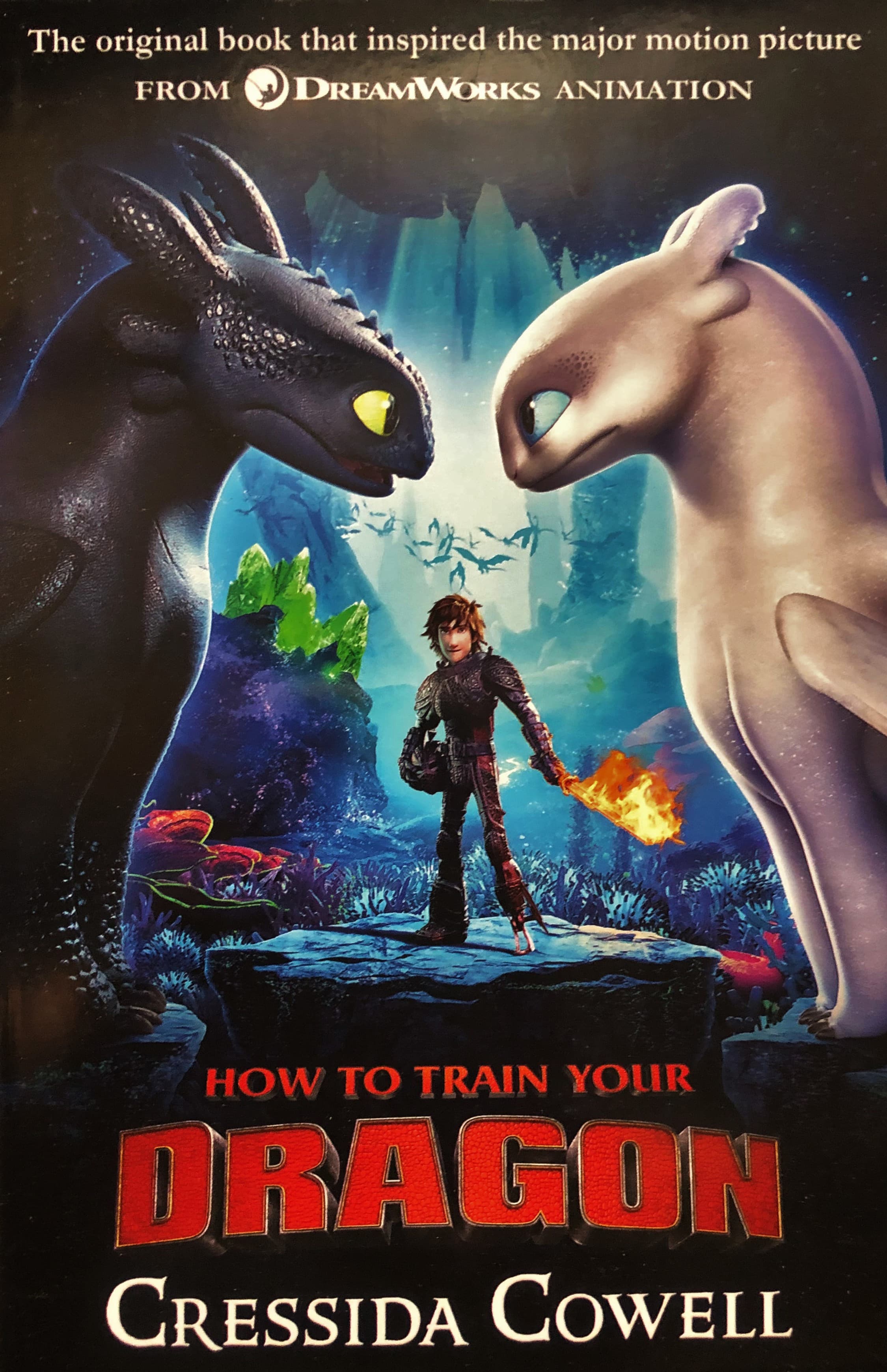 How to Train Your Dragon FILM TIE IN (3RD EDITION) — image 1
