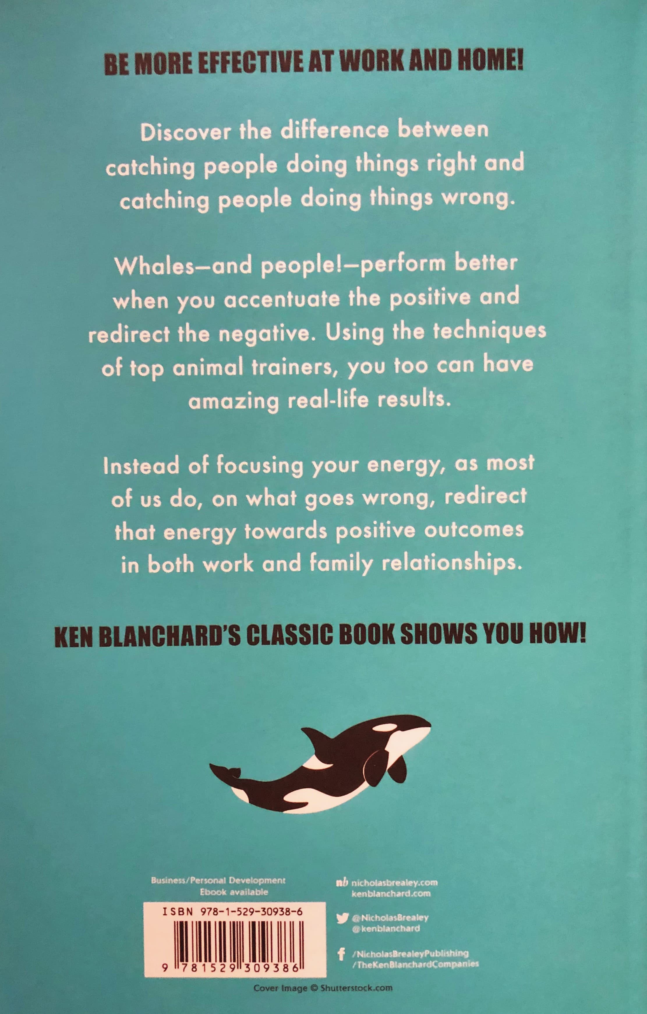 Whale Done! — image 2