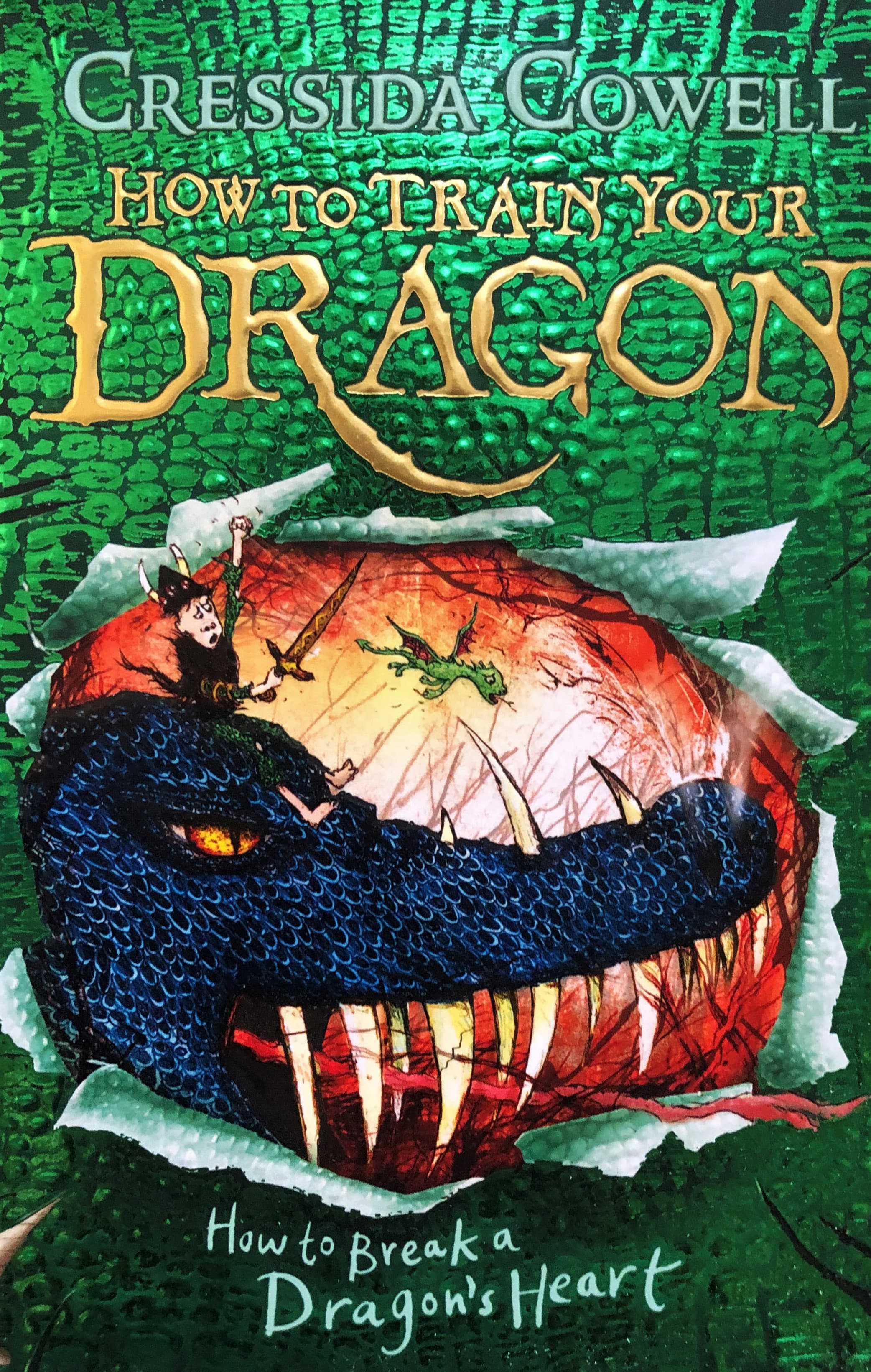 How to Train Your Dragon: How to Break a Dragon's Heart — image 1