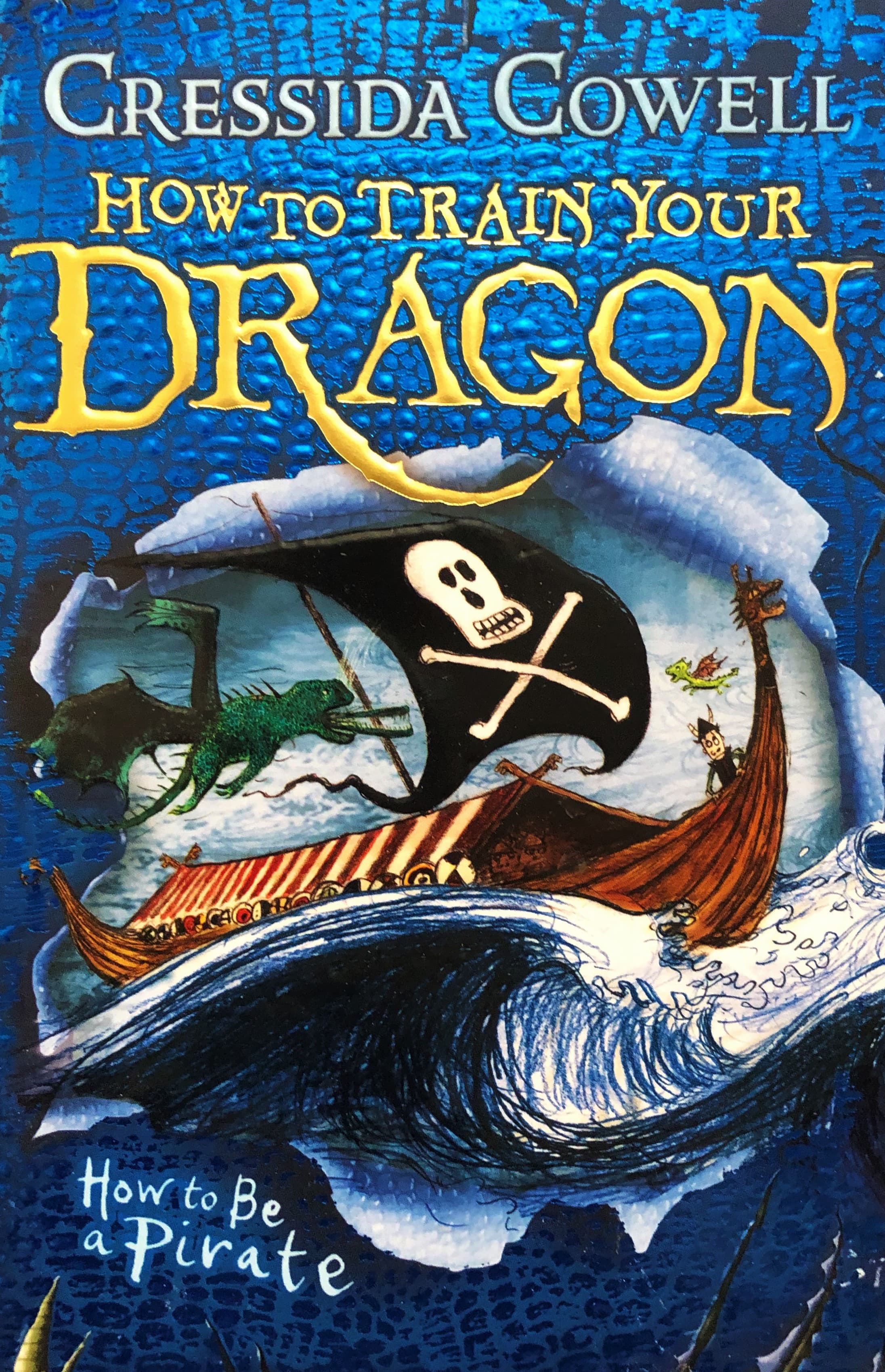 How to Train Your Dragon: How To Be A Pirate — image 1