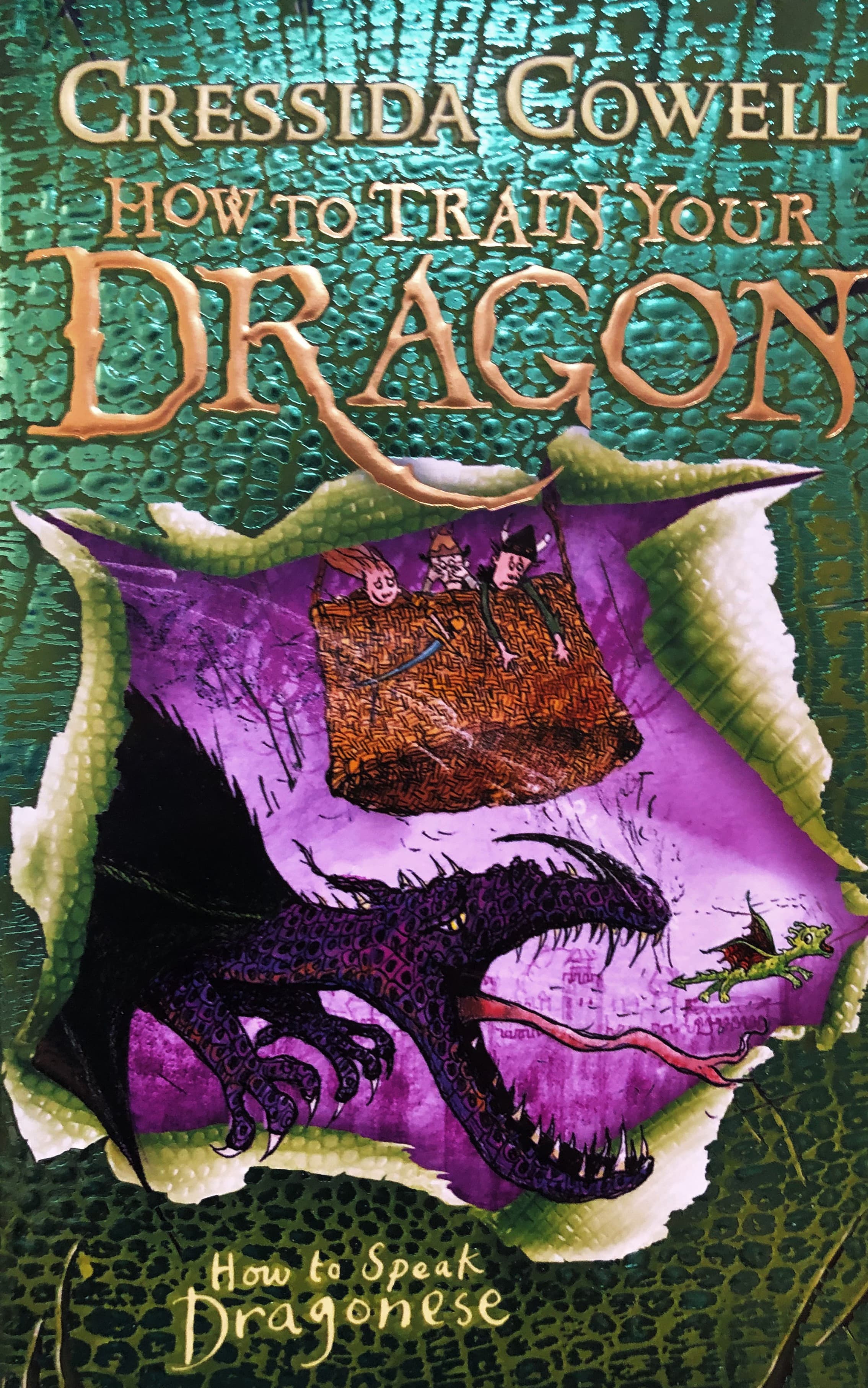 How to Train Your Dragon: How To Speak Dragonese — image 1