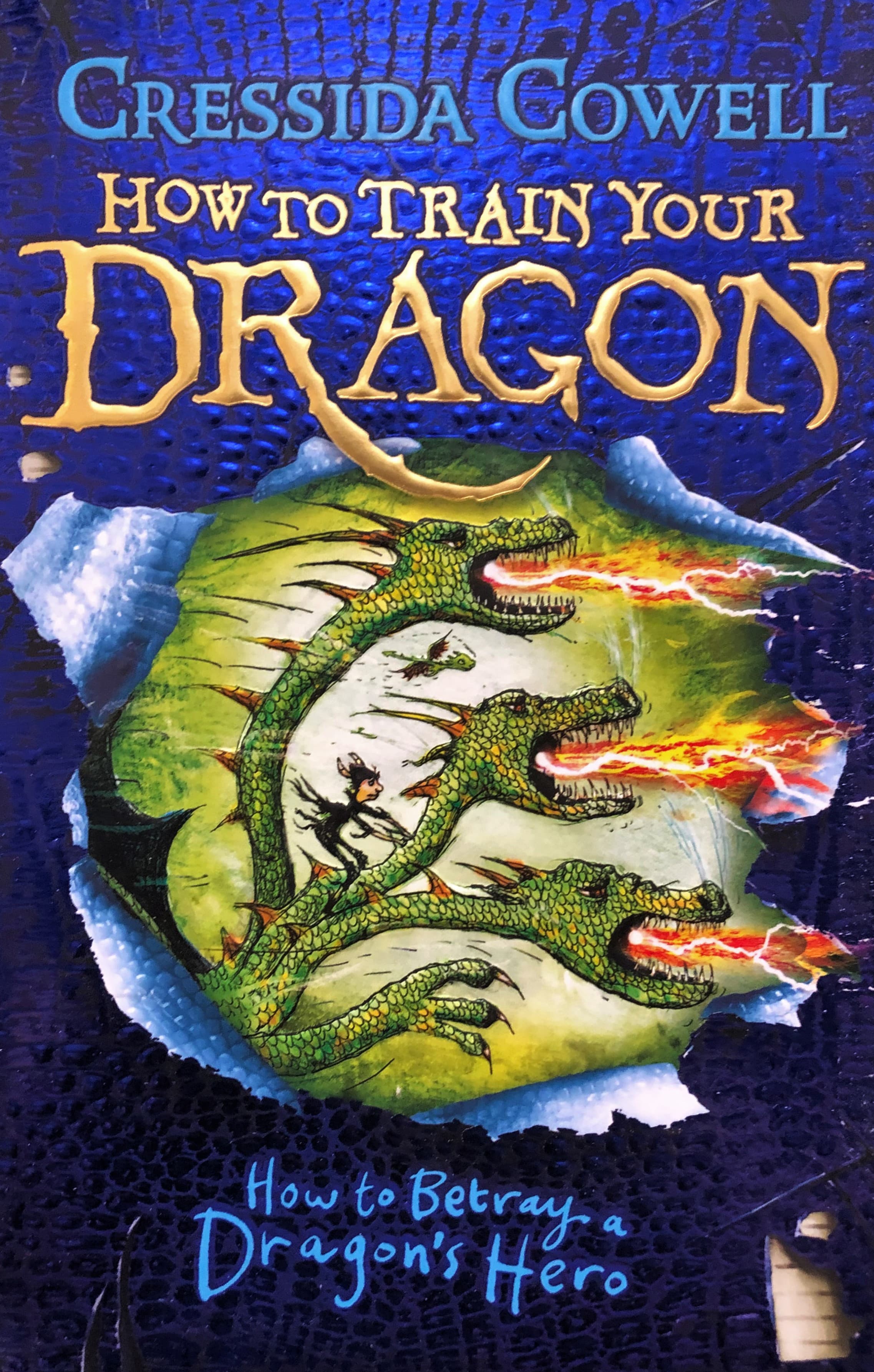 How to Train Your Dragon: How to Betray a Dragon's Hero — image 1