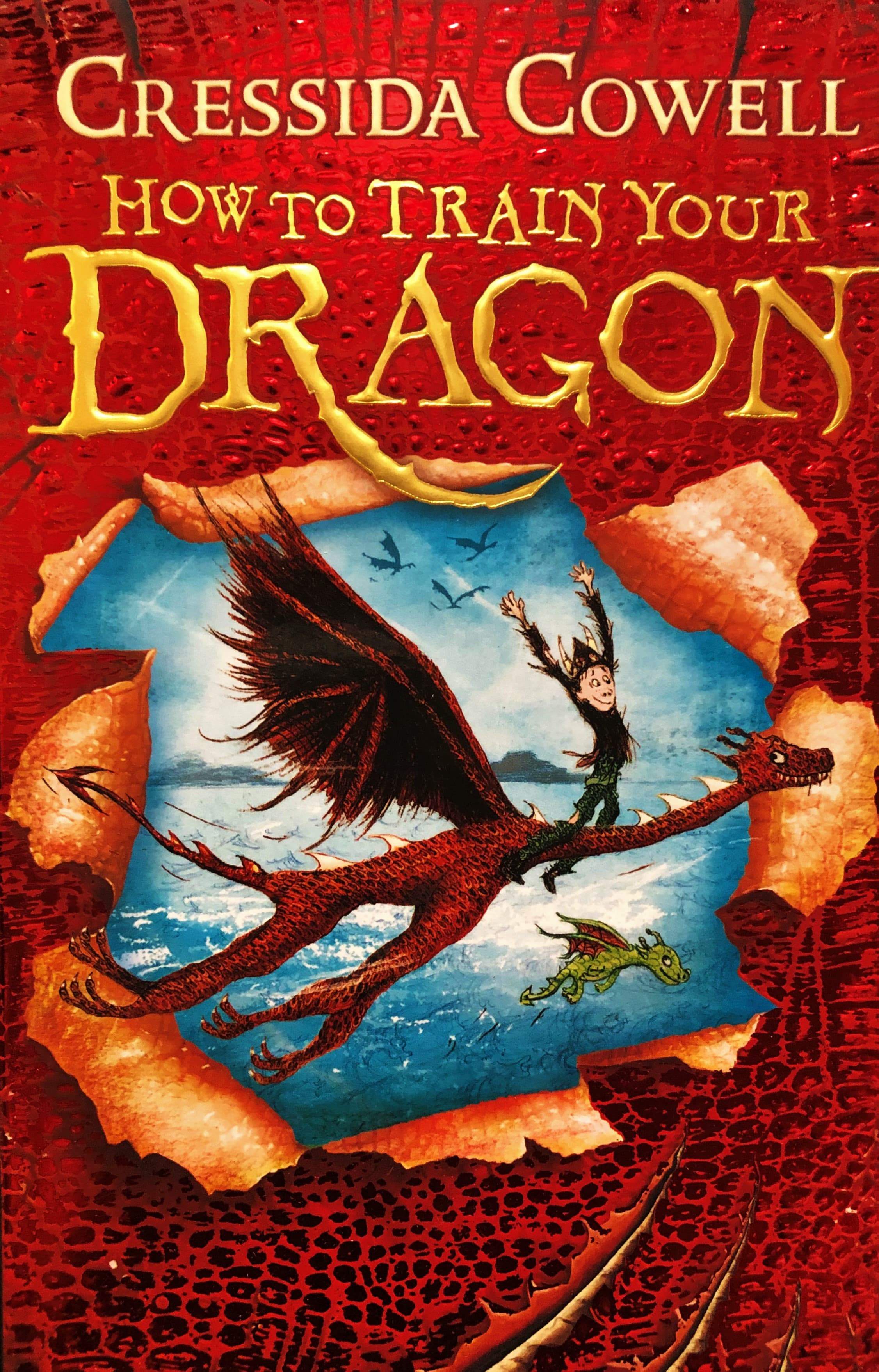 How to Train Your Dragon — image 1