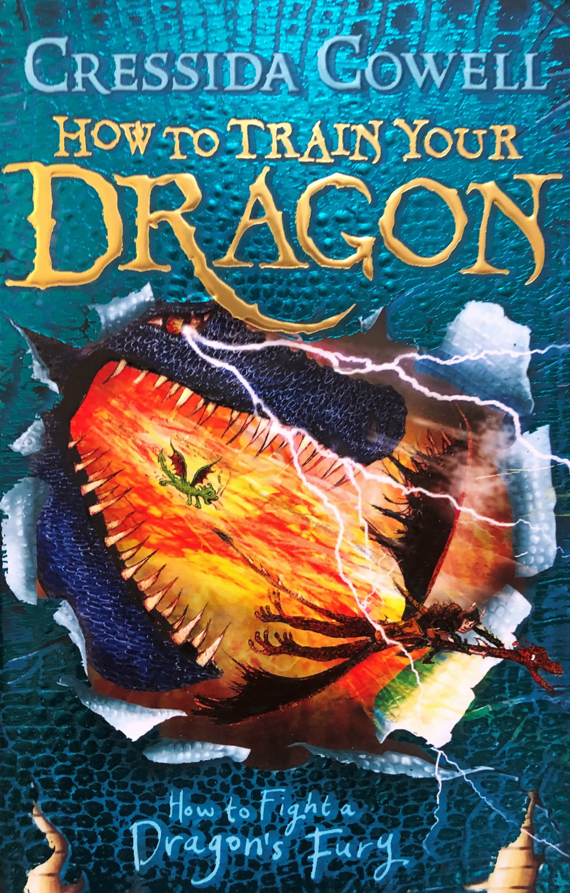 How to Train Your Dragon: How to Fight a Dragon's Fury — image 1