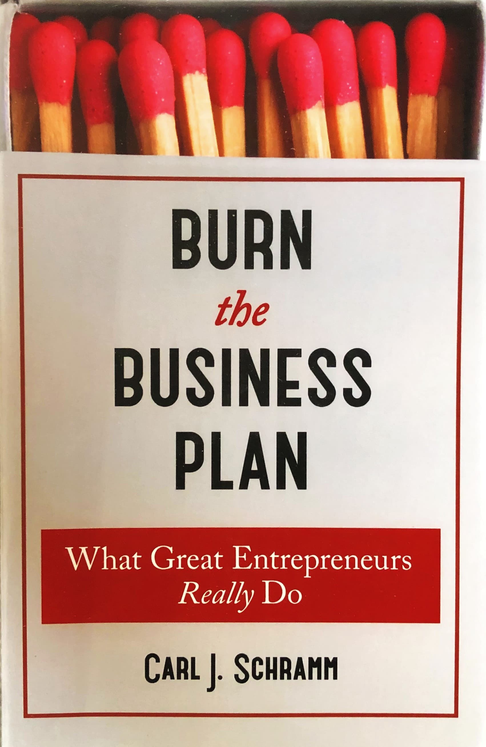 Burn The Business Plan