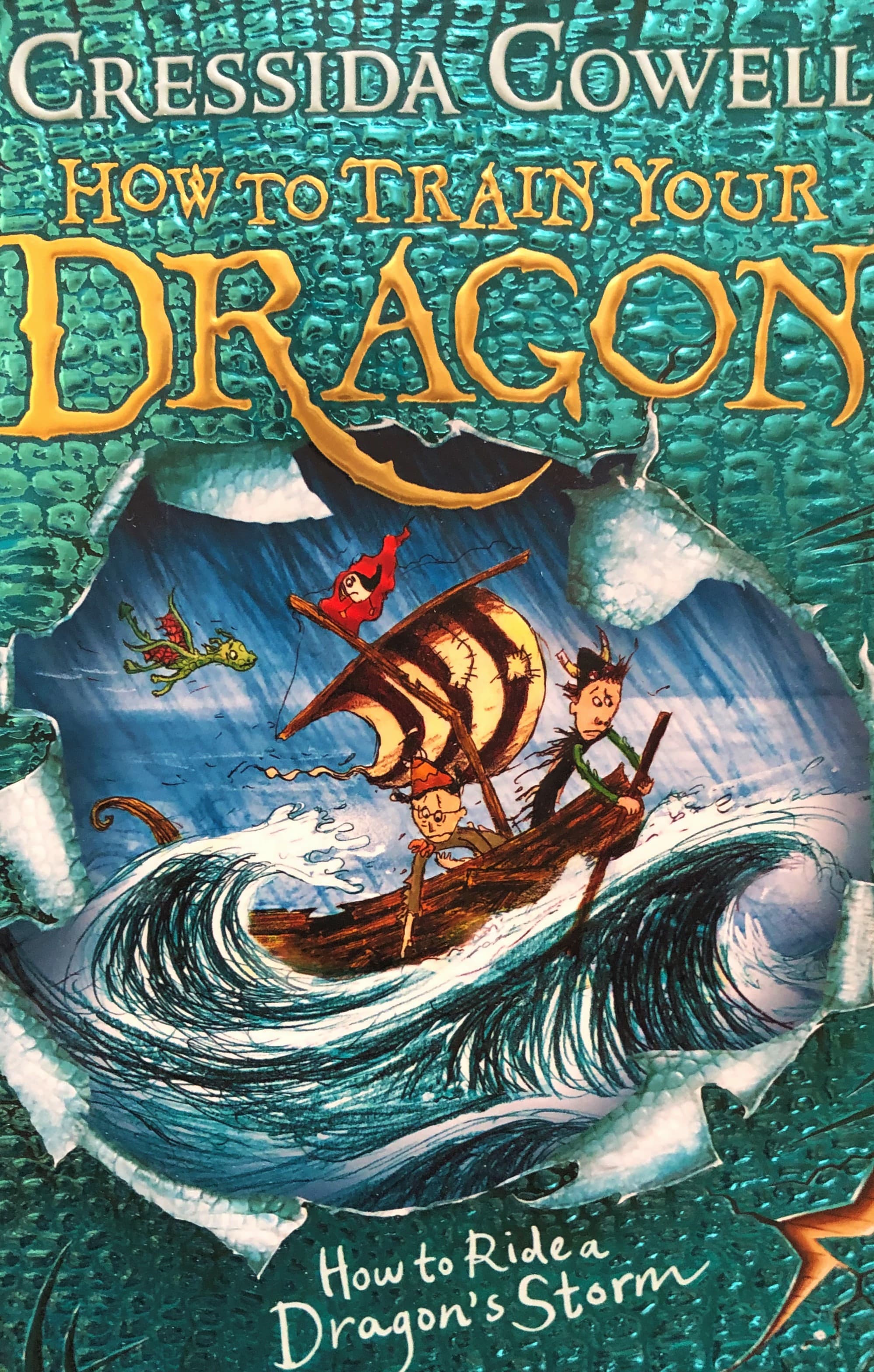 How to Train Your Dragon: How to Ride a Dragon's Storm — image 1