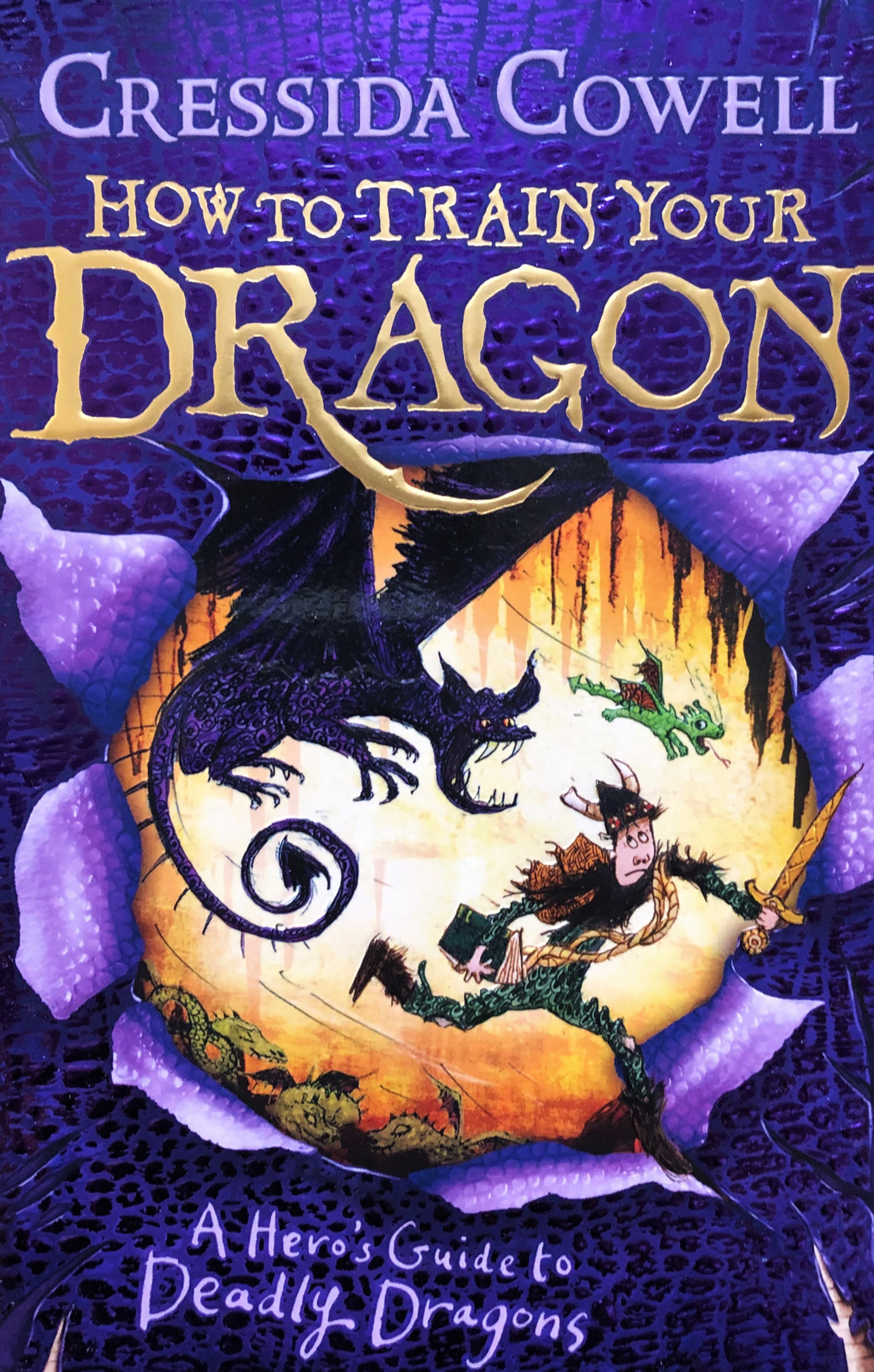 How to Train Your Dragon: A Hero's Guide to Deadly Dragons — image 1