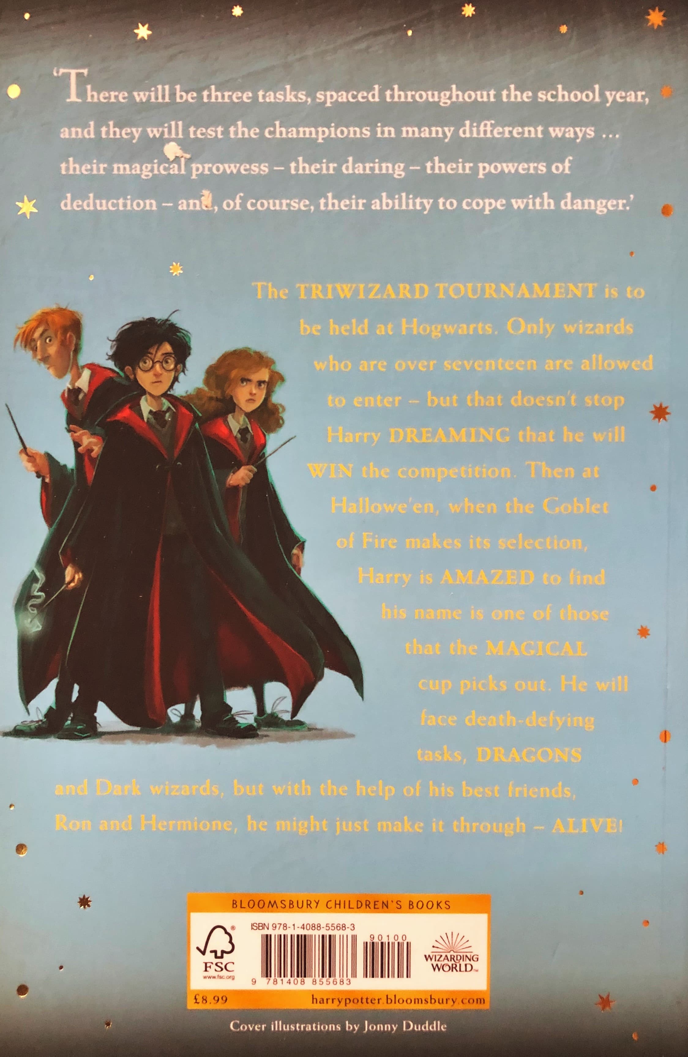 Harry Potter and the Goblet of Fire — image 2
