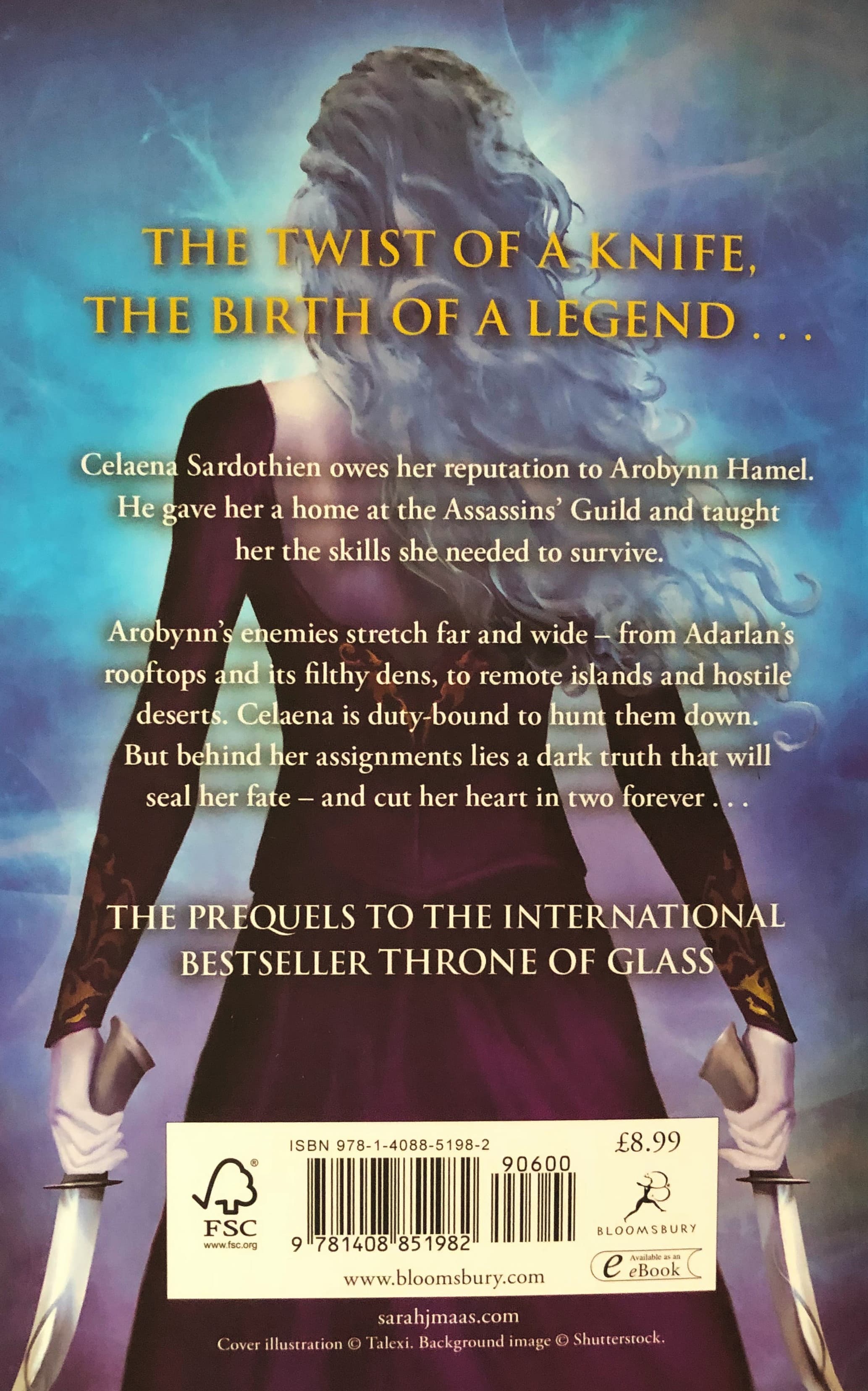 The Assassin's Blade — image 2
