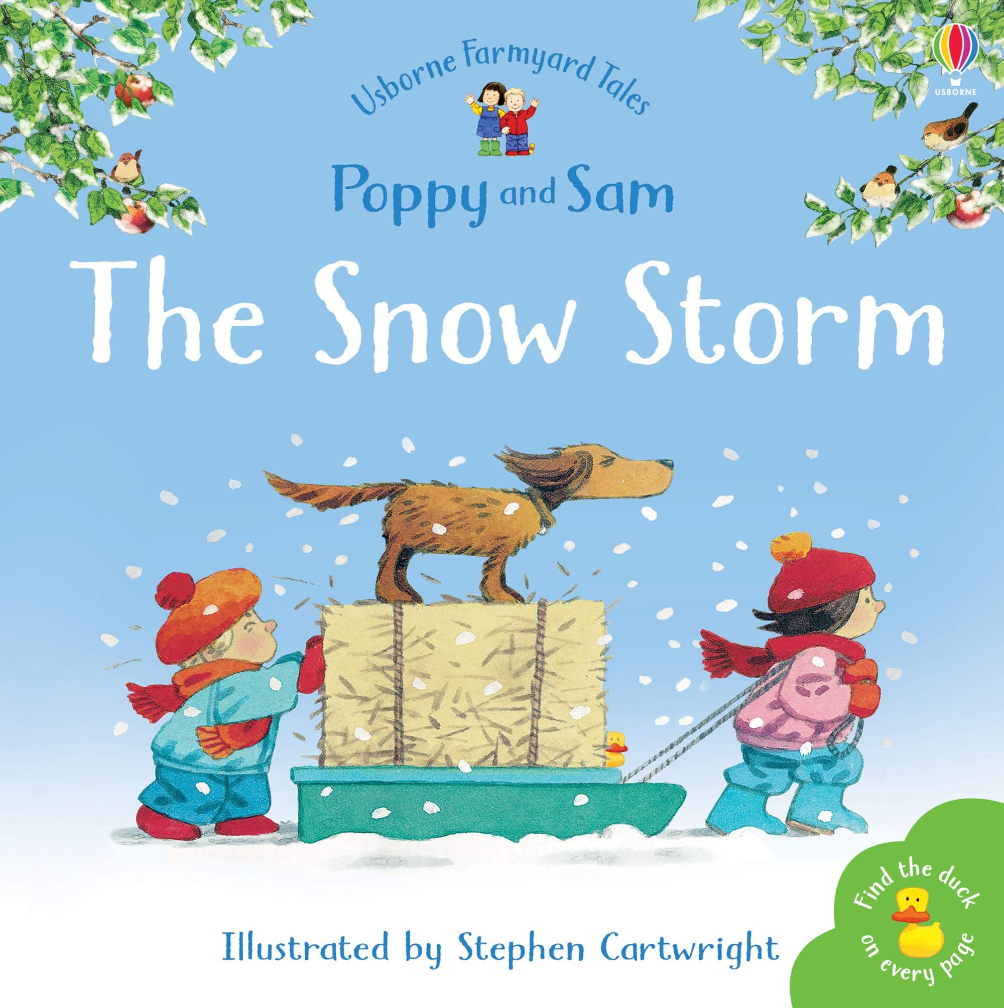 Farmyard Tales Poppy and Sam: The Snow Storm