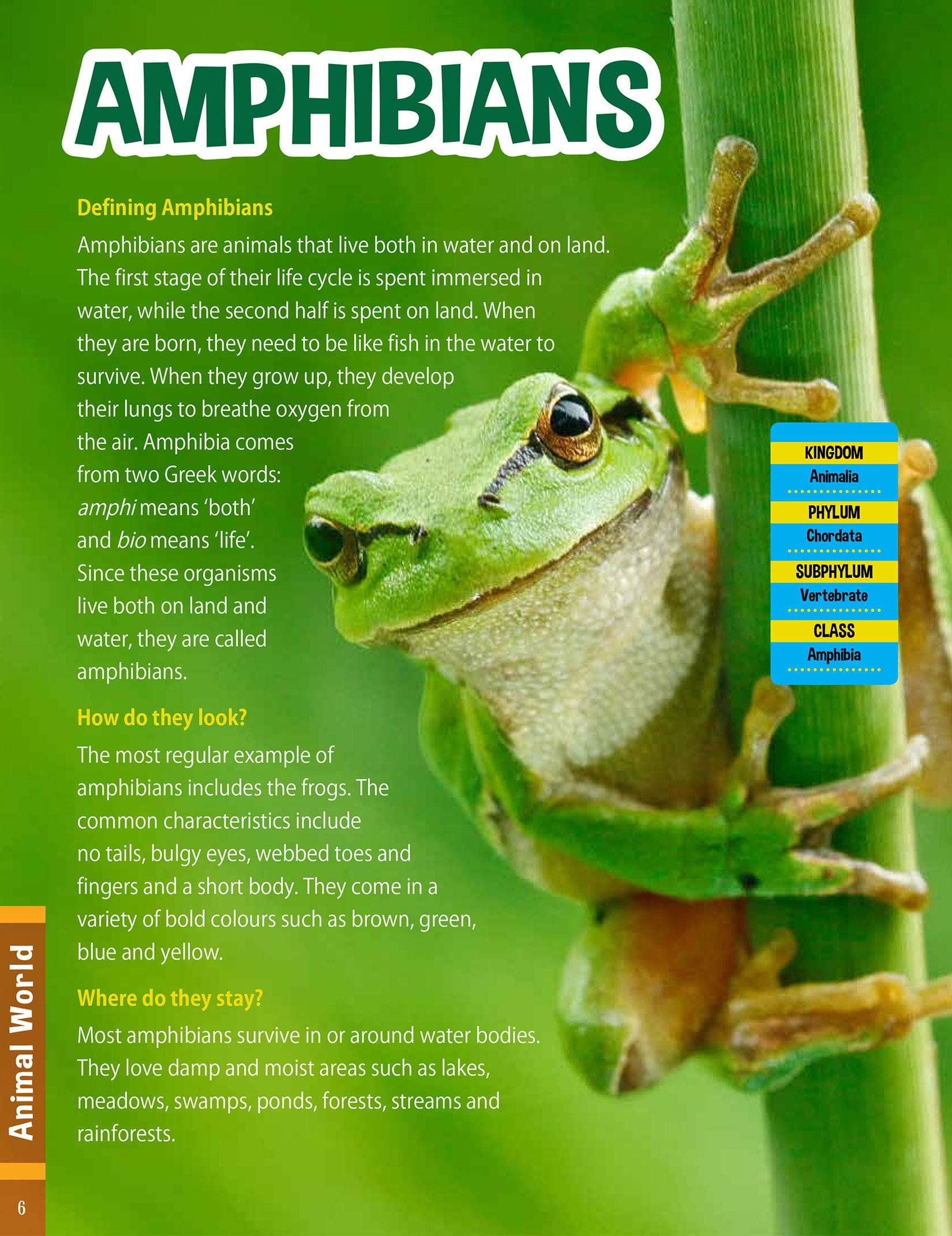 Childrens Encyclopedia Animal World — image 2