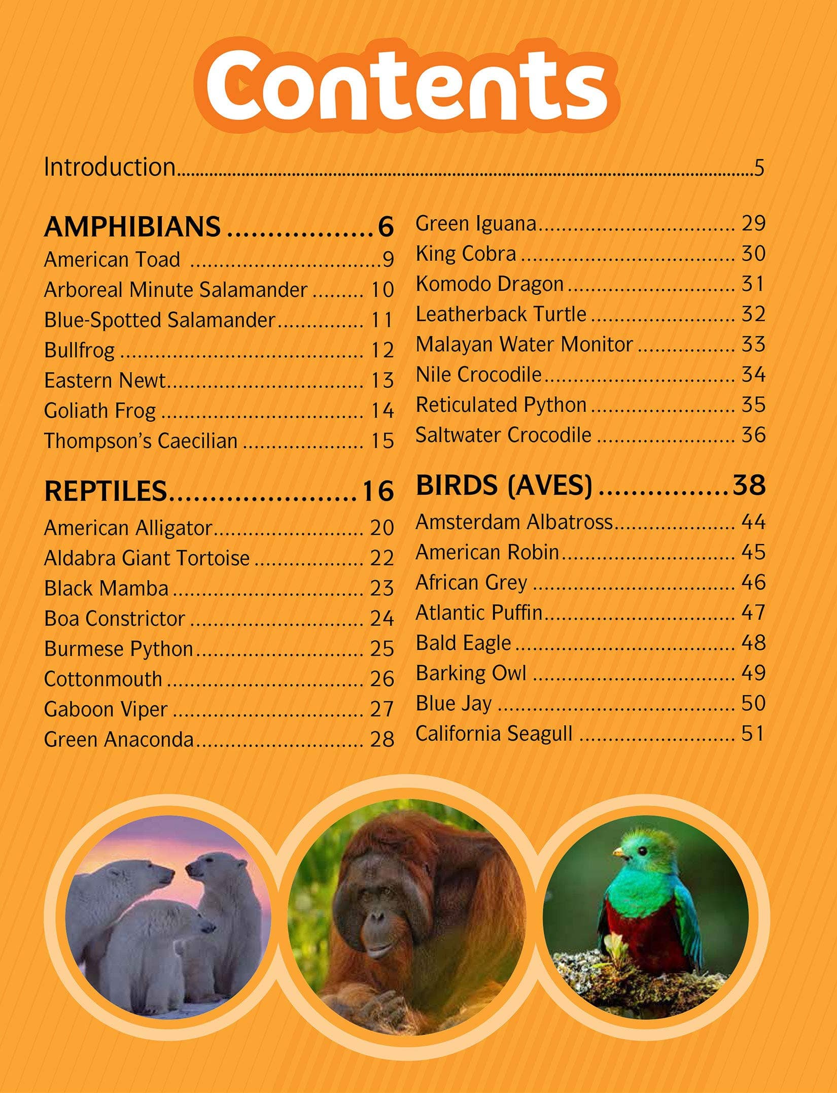 Childrens Encyclopedia Animal World — image 3