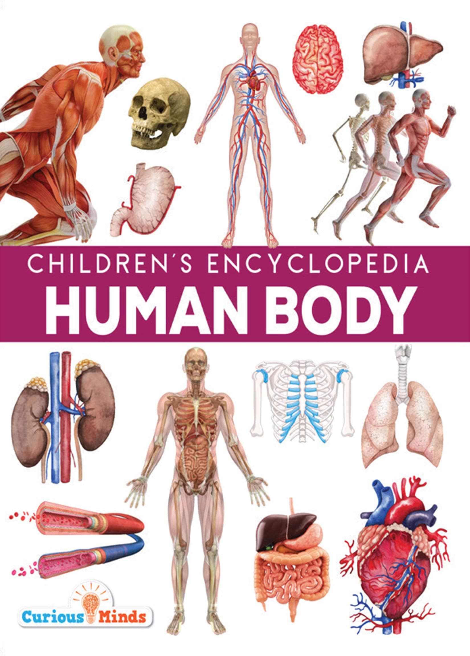 Childrens Encyclopedia Human Body — image 1