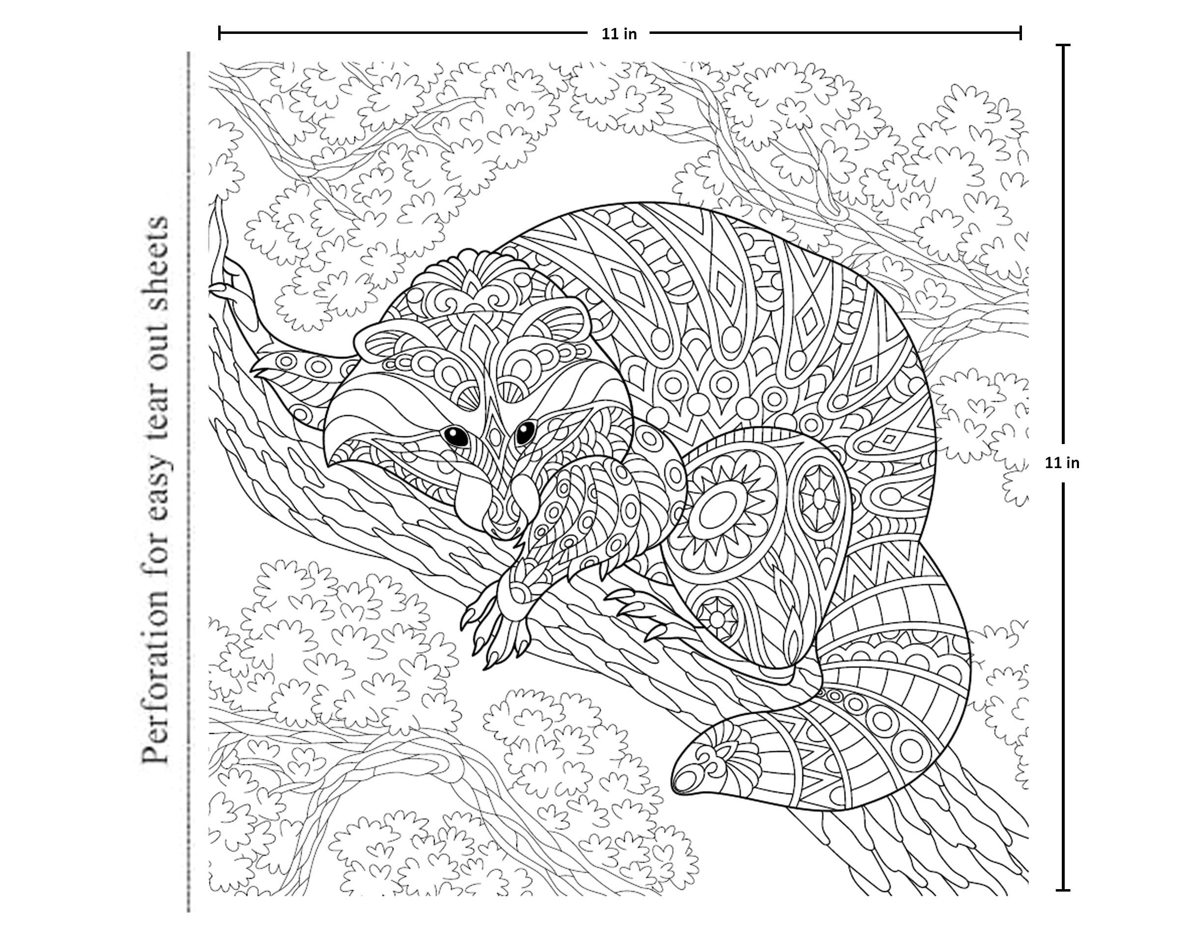 Animals Colouring Book For Adults — image 4