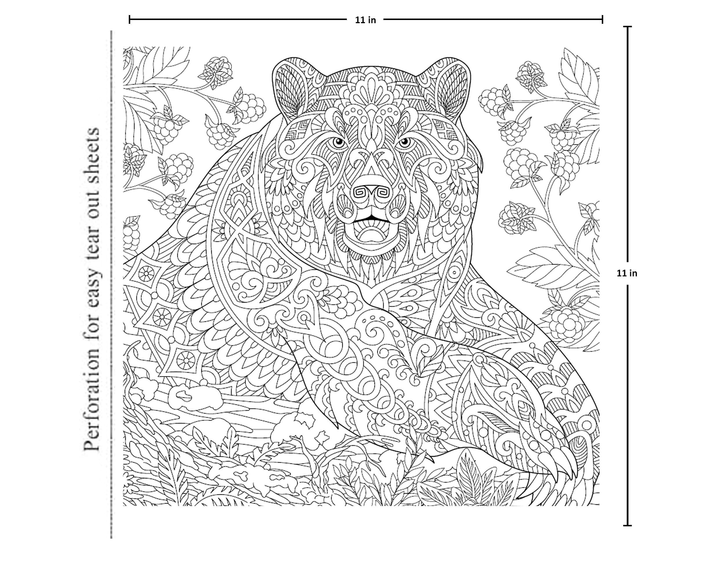 Animals Colouring Book For Adults — image 2